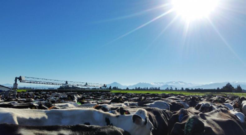 Global Report: stories from around the world