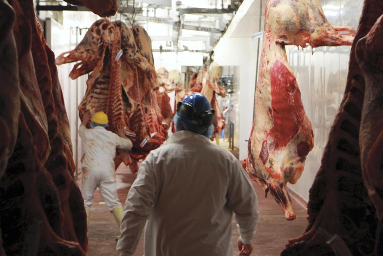 Beef prices: factories keen to get cattle