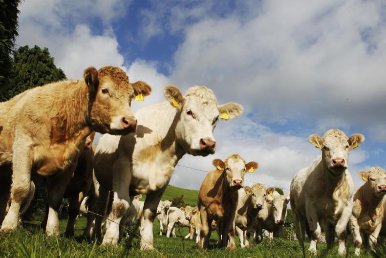 Farmer’s appeal against Nitrates Regulation fine rejected