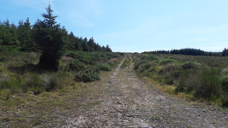 Keeping forest harvesting on track