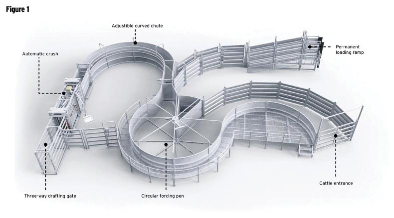Watch: the €49,000 handling unit