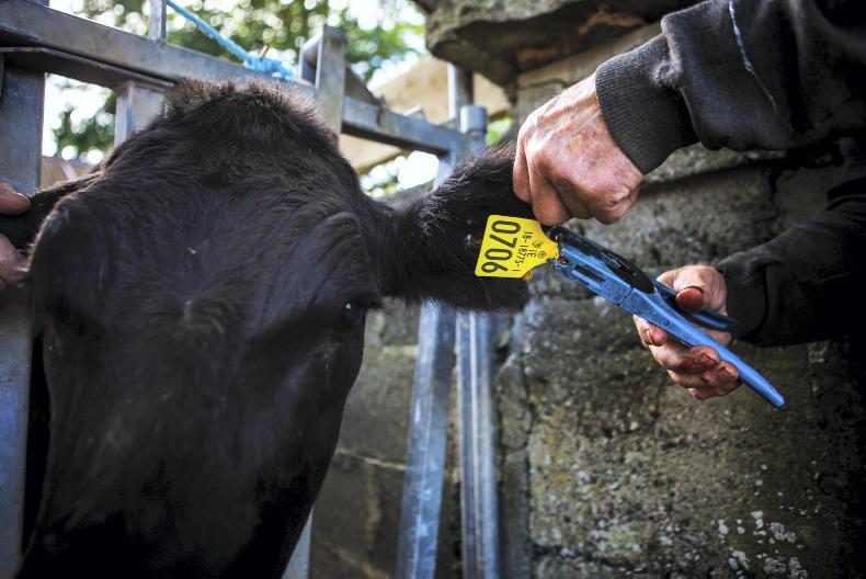 Farm inspections: more than 2,500 farmers fined under cross-compliance last year