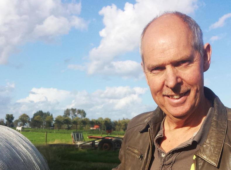 Tulip bulbs prove a lucrative crop option