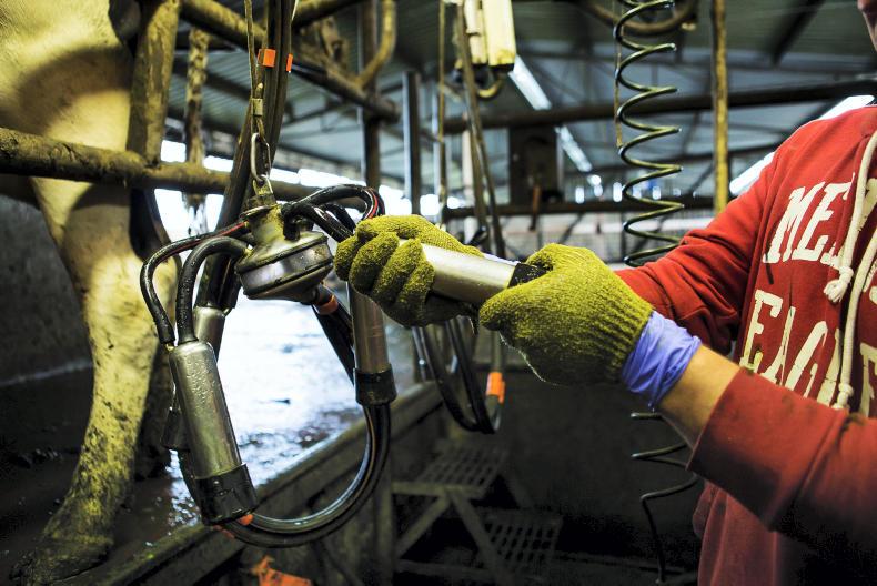 Labour shortage committee for dairy farming