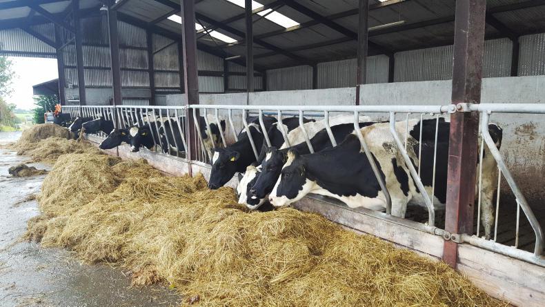 Watch: fertility continuing to improve in Cavan