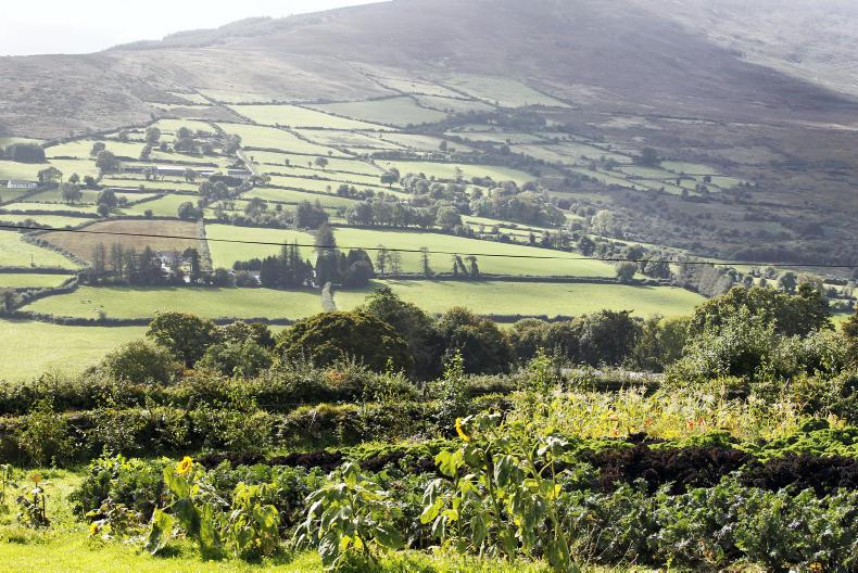 AEOS farmers still waiting on payments