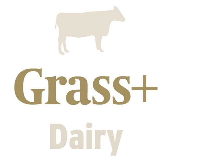 Grass+ dairy: growth good but rain a big challenge