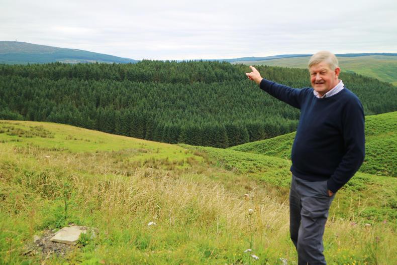 Rumoured fast tracking of Lynx release – NSA