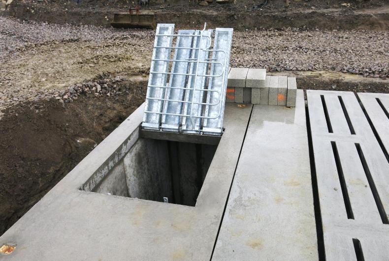 Cattle rescued from Co Armagh slurry pit