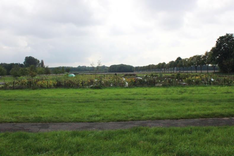 Understanding the genes that control our plants