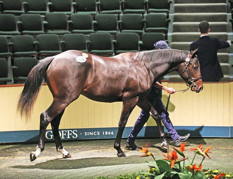 Frankel and Galileo yearlings top the Goffs Orby Sale