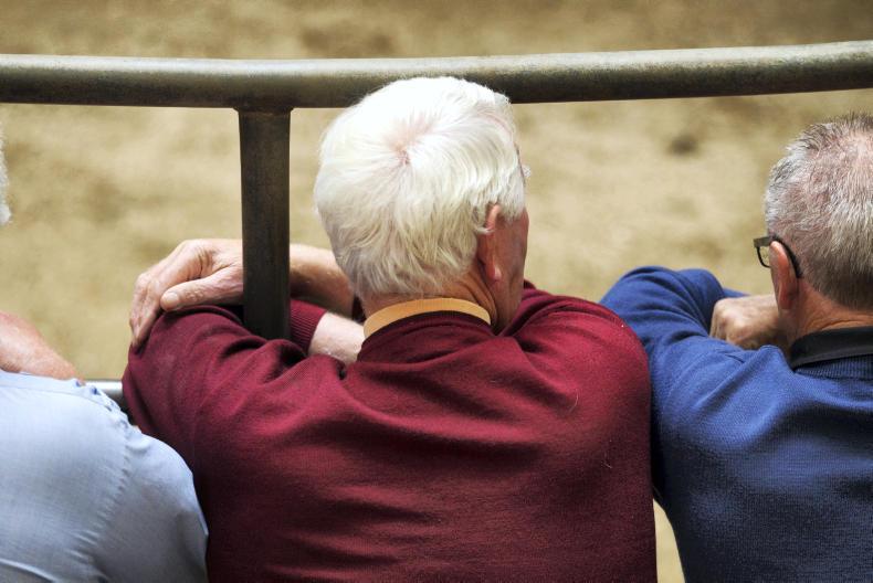 Six marts selling weanlings for Italy