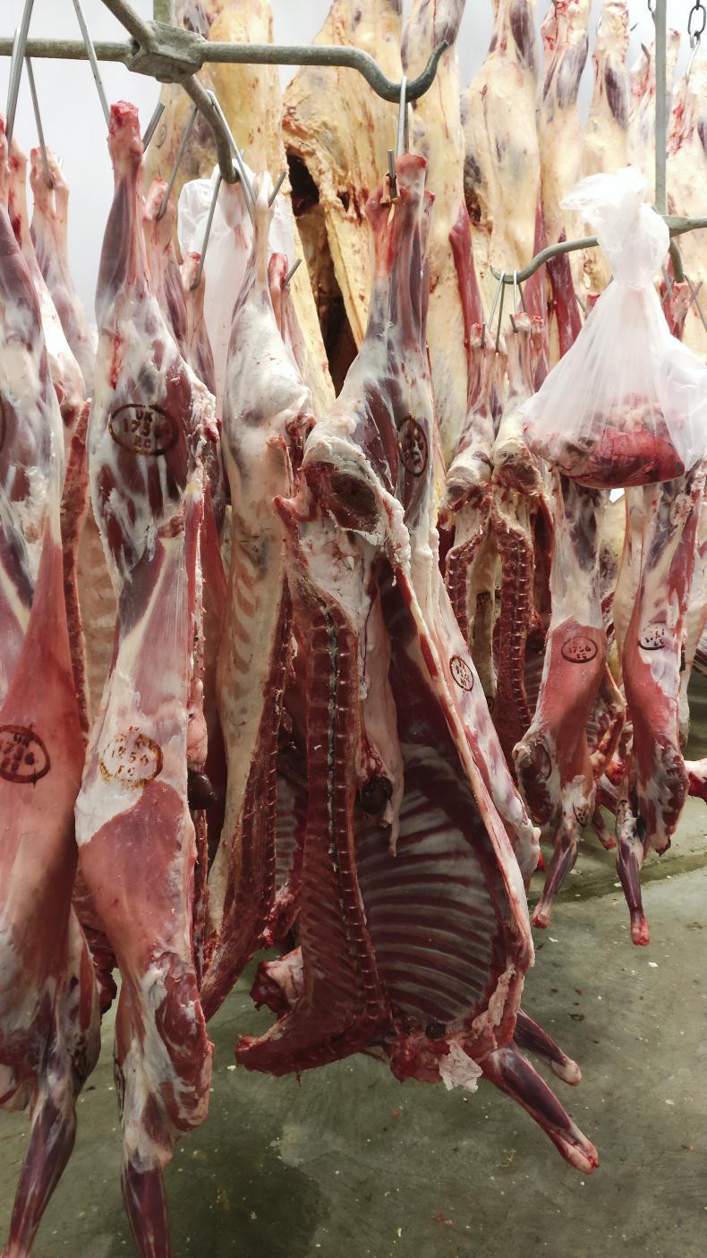 Creating a brand for Shetland lamb