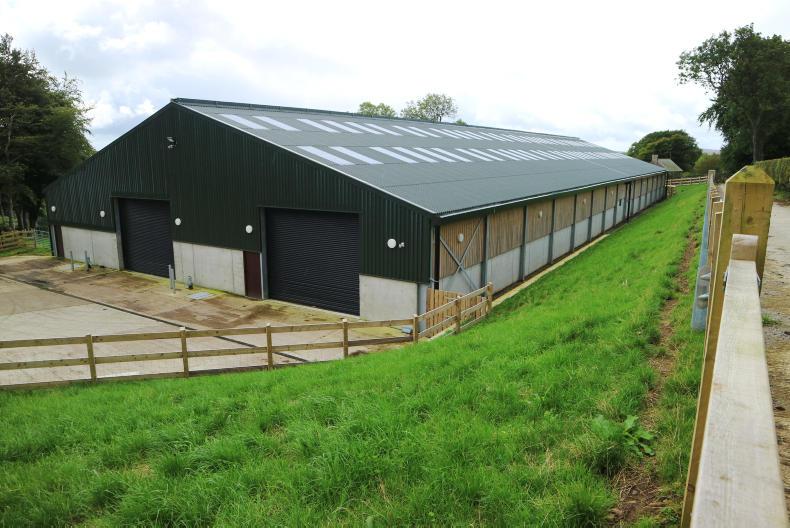 Watch: behind the scenes on the €930,000 (£825,000) sheep shed