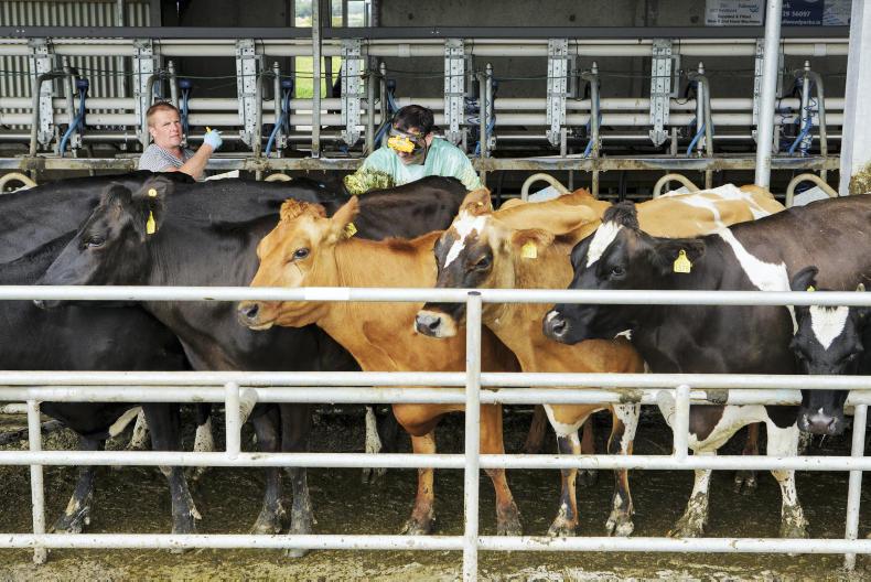 Empty rates as high as 30% after scanning