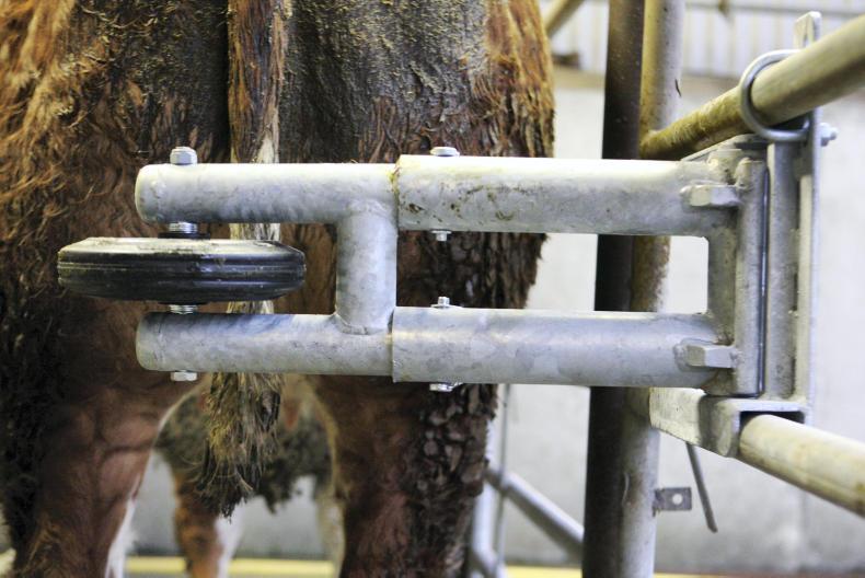 Knowing the safety risks around breeding