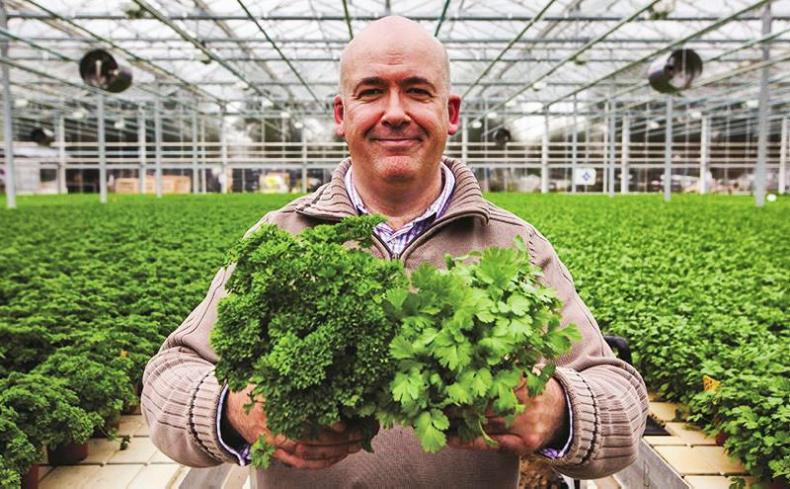 20 minutes with Tom O’Hanlon of O’Hanlon Herbs