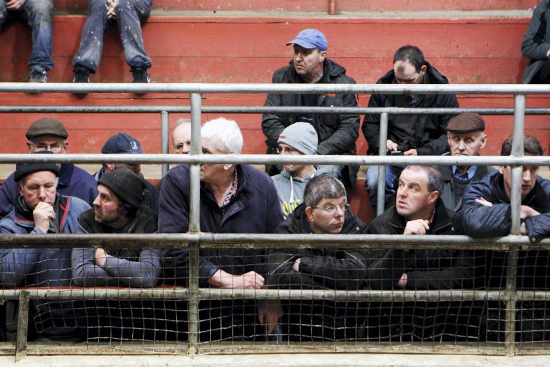 Mart manager comment: JJ Peters and Glen Cooper – Mountrath Mart          