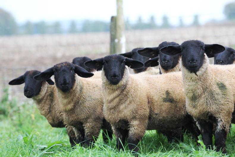 350 farmers yet to complete SWS task