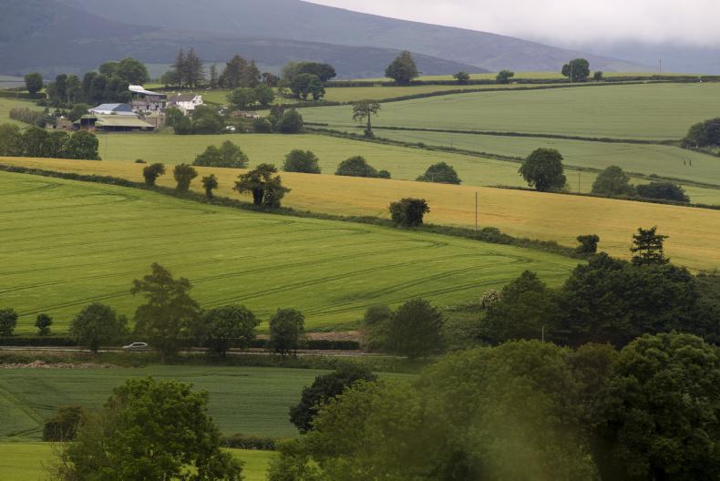 IFA: significant BPS payment vital 