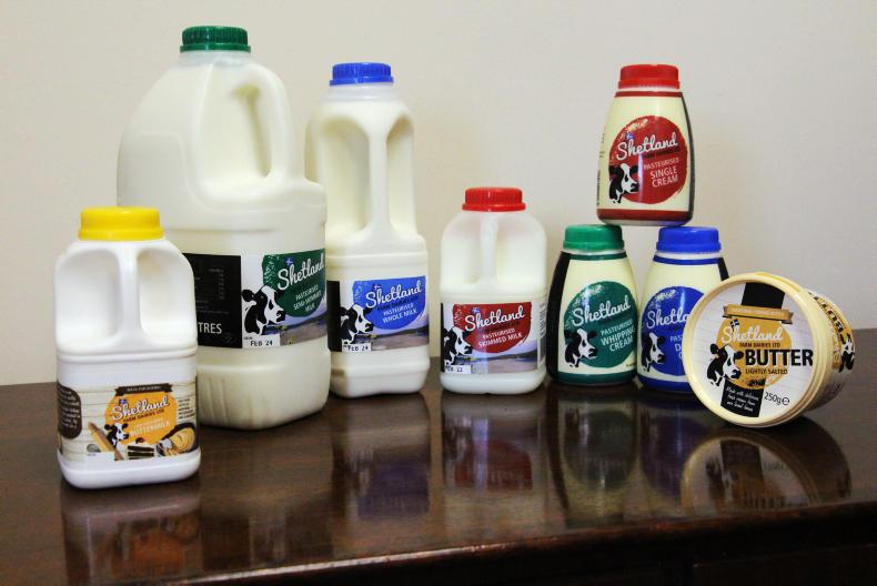 Shetlands: Dairying on the edge