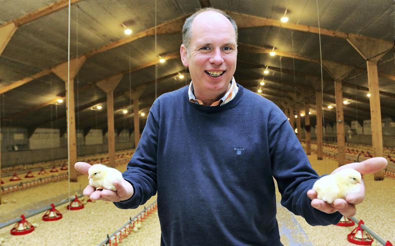 My farming week: Pat McGuirk, Drumskelt, Newbliss, Co Monaghan