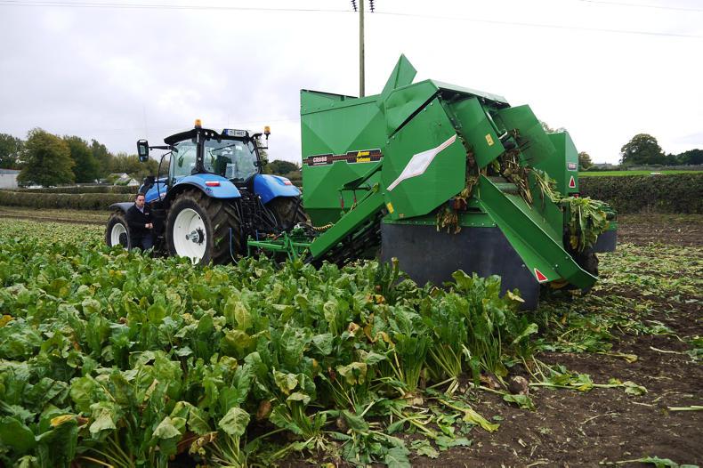 Watch: Cross beet demo day           