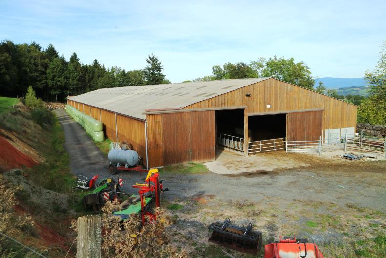 Watch: housing 130 suckler cows in France 