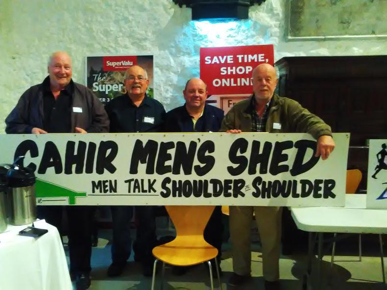 Shed of the week: Cahir              