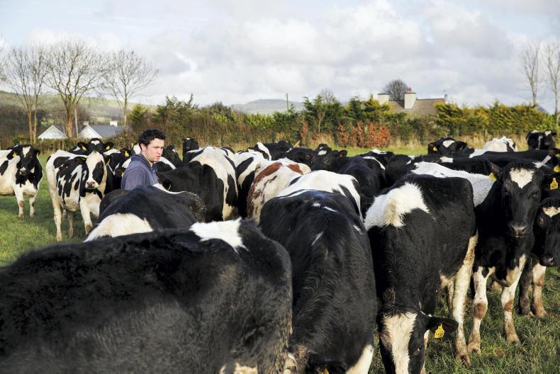 Farm workers ‘not in short supply’ – Department of Jobs