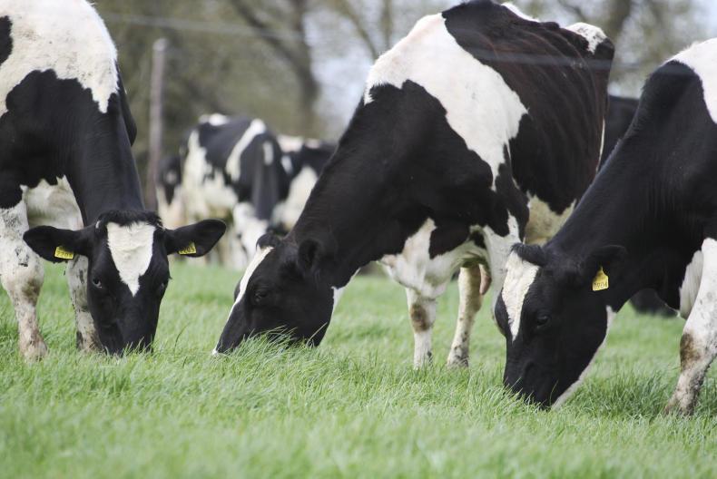 Listen: farming for the future at Nuffield