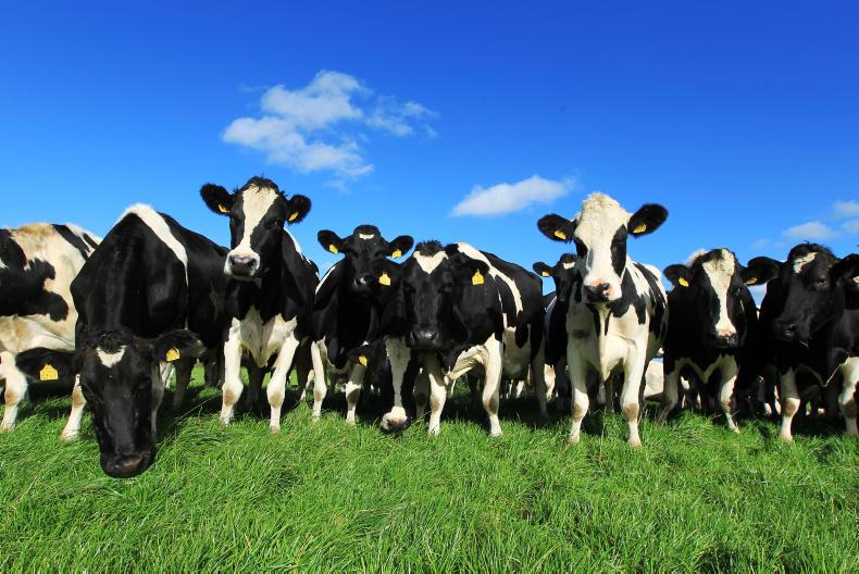 IFA news and activities this week 