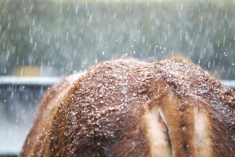 First BES payments issued     