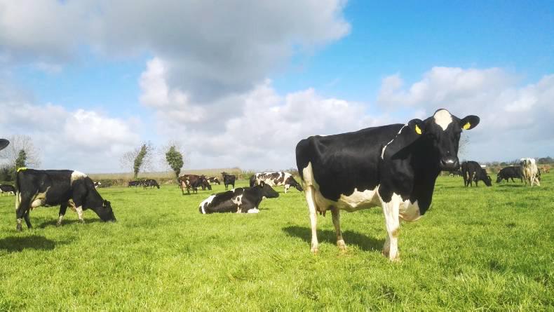 Paddocks get soil fertility top up