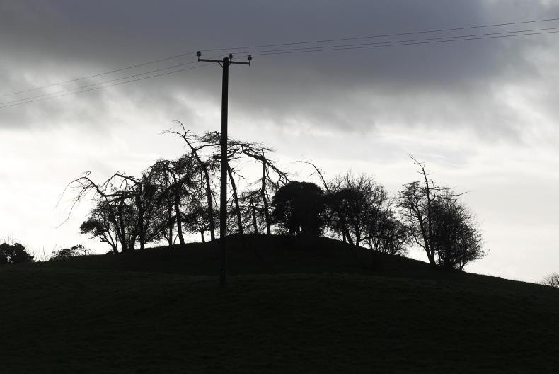 Four tips for staying safe using chainsaws