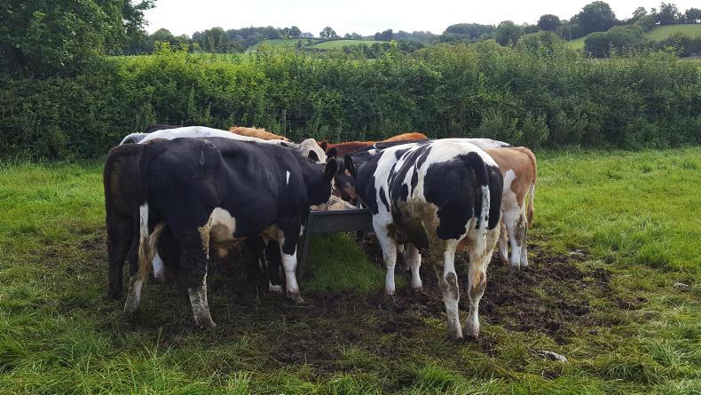 Big savings from better quality silage