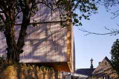 Sweet chestnut – multi-purpose species provides wood and food Sweet chestnut – multi-purpose species provides wood and food