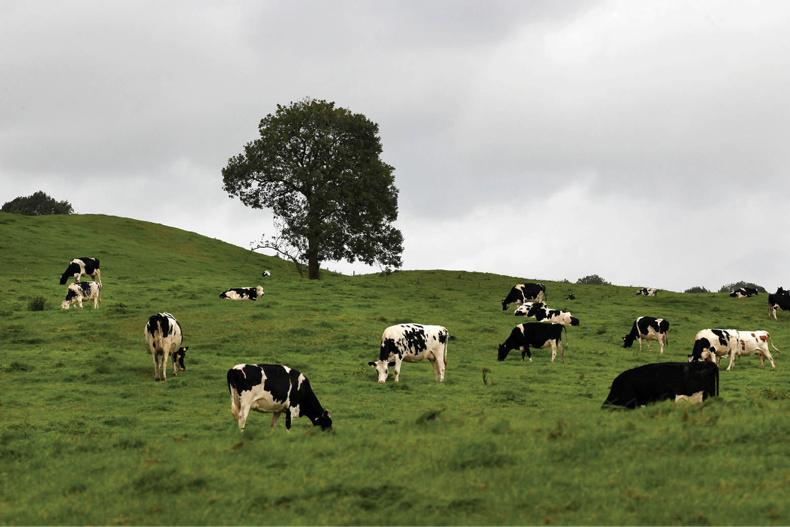 Star grazers part I: finalists in Grassland farmer of the year 