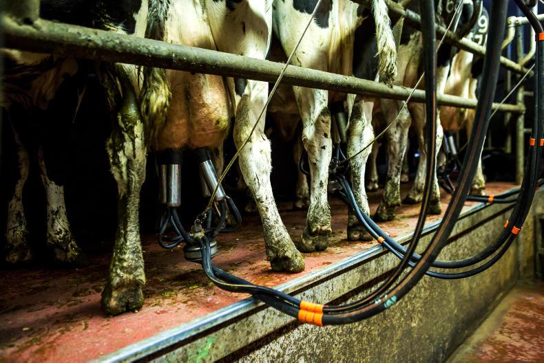 Milking without power after Hurricane Ophelia