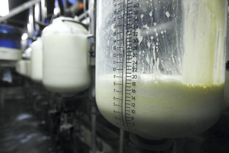 Gallacher completes First Milk turnaround