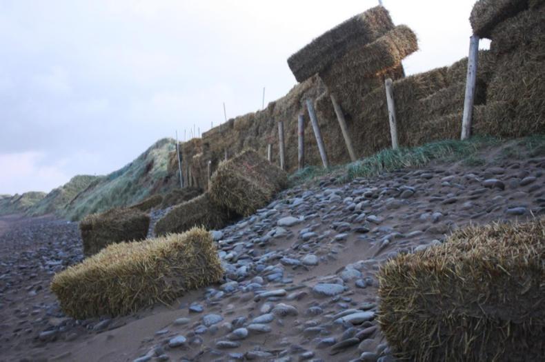Trump's golf course built wall of straw for Ophelia