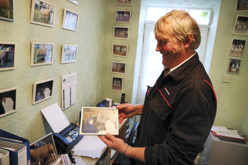 Heard of a Herdwick?                    