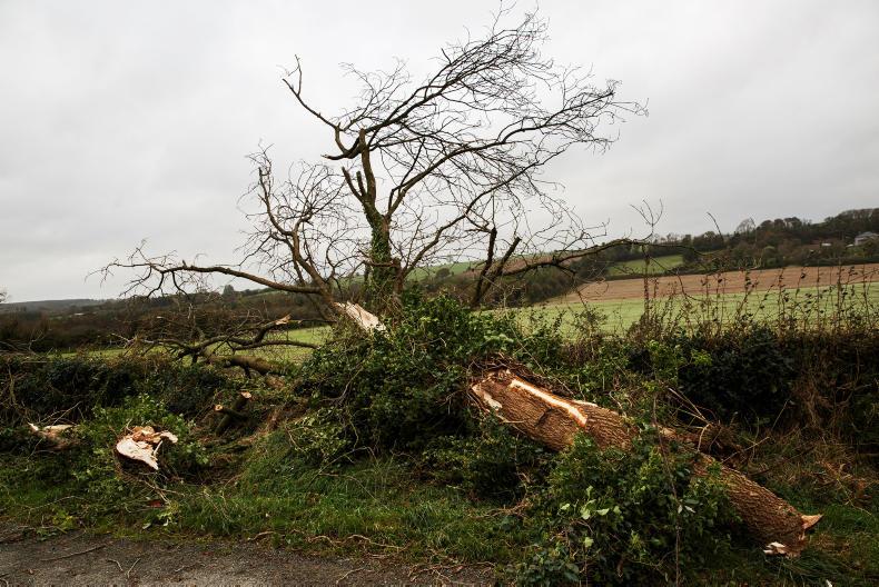 Ophelia claims could reach £10m