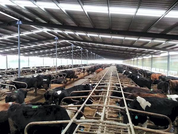 News briefs from Northern Ireland