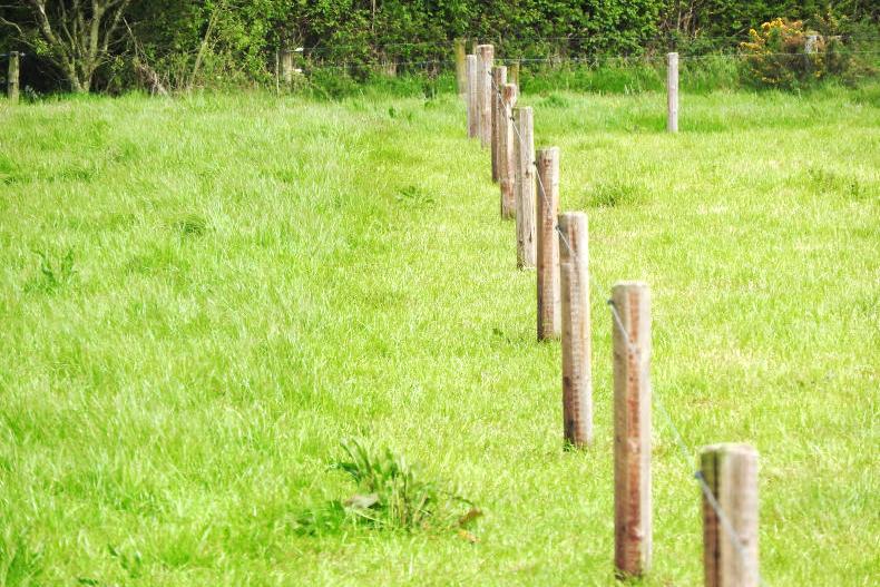 6,000 GLAS farmers ‘have not met requirements’ of scheme