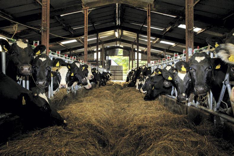'It's like the old meitheal system' – farmers come together after Ophelia