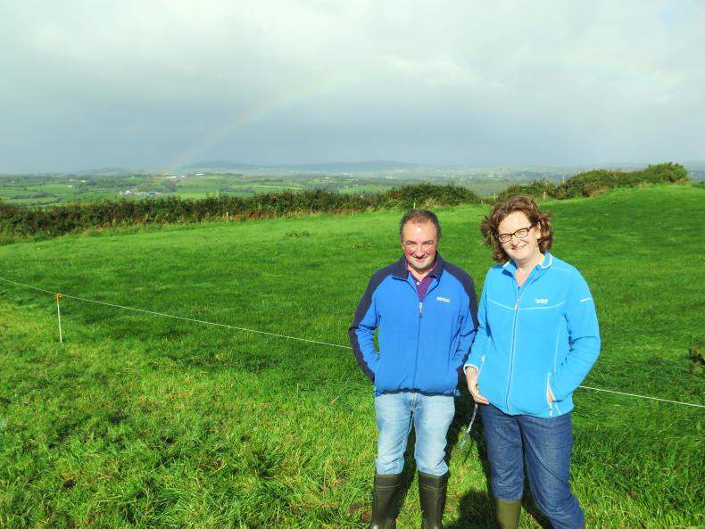 Star grazers part II: Grassland farmer of the year finalists