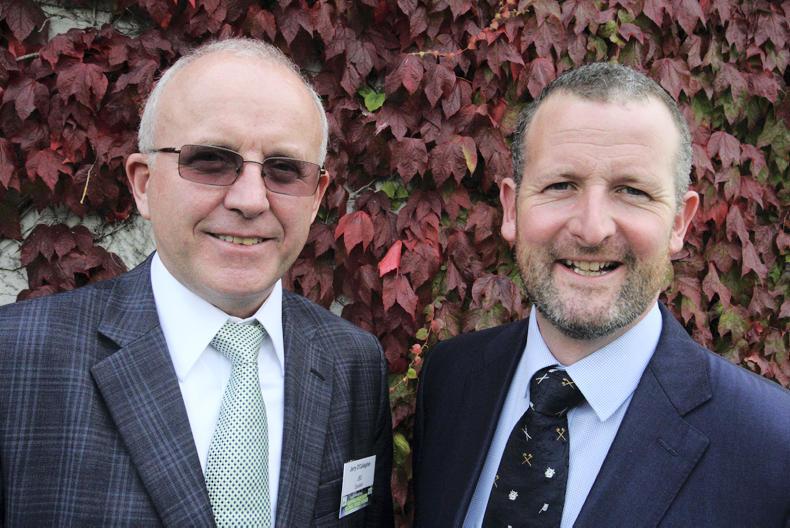 Cork man beefing up Brazil's meat business