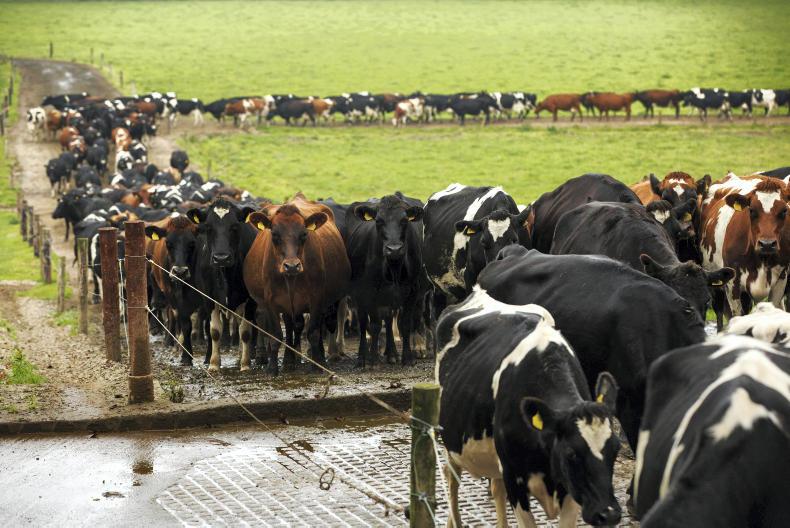 Dairy Day speaker lineup announced