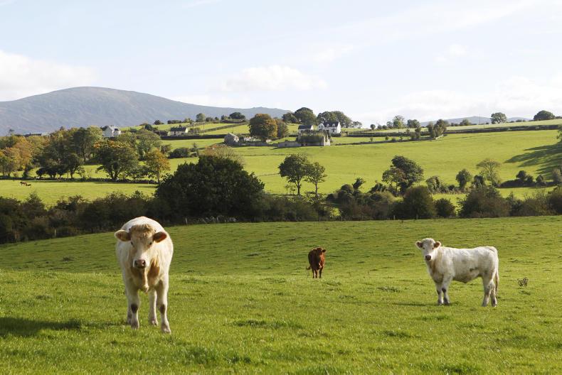 Tax – saving and planning tips